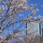 2012年4月の豊洲空間
